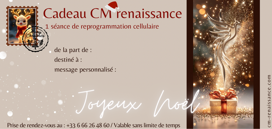 Cm renaissance noël